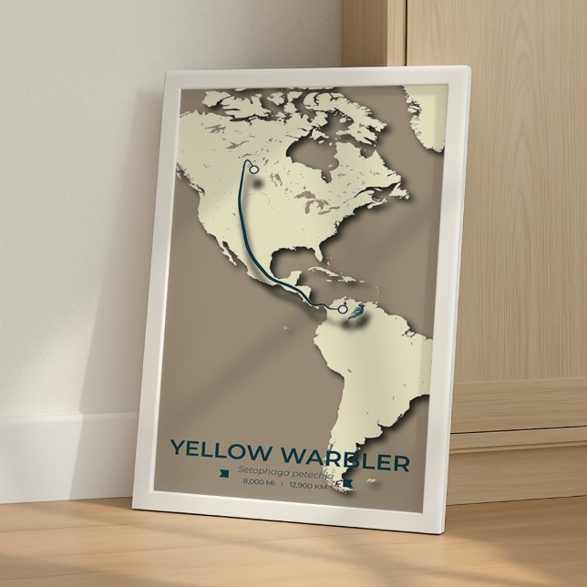Affiche Carte de migration de la Paruline Jaune - Minimali (Créateur téléchargé)