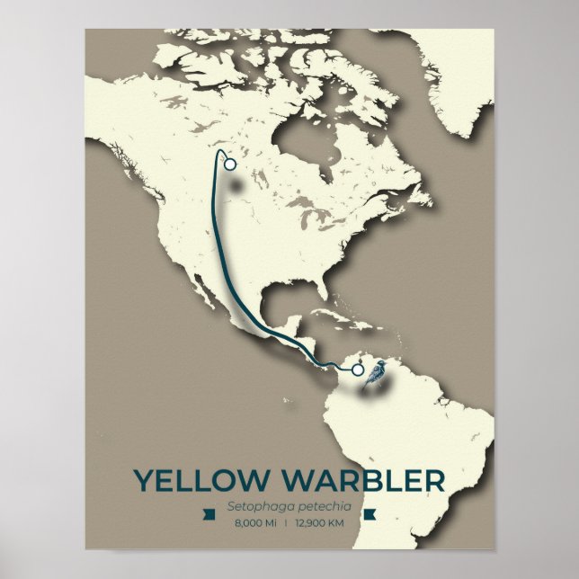 Affiche Carte de migration de la Paruline Jaune - Minimali (Devant)