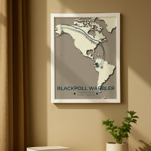 Affiche Carte de migration de la Paruline noire - Minimali