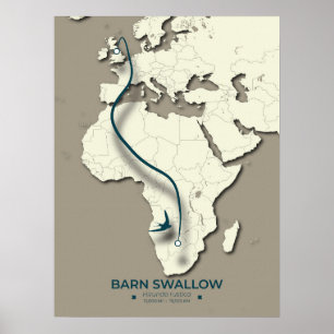 Affiche Carte de migration de l'hirondelle de grange - min