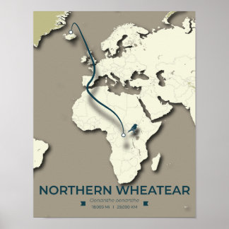 Affiche Carte de migration des roues du Nord - Minimaliste