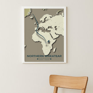 Affiche Carte de migration des roues du Nord - Minimaliste
