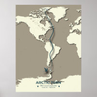 Carte de migration des sternes arctiques - Vintage