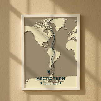 Affiche Carte de migration des sternes arctiques - Vintage