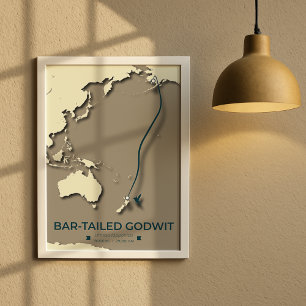 Affiche Carte de migration des sternes arctiques - Vintage