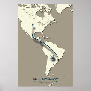 Affiche Carte de migration d'hirondelle de falaise - Vinta