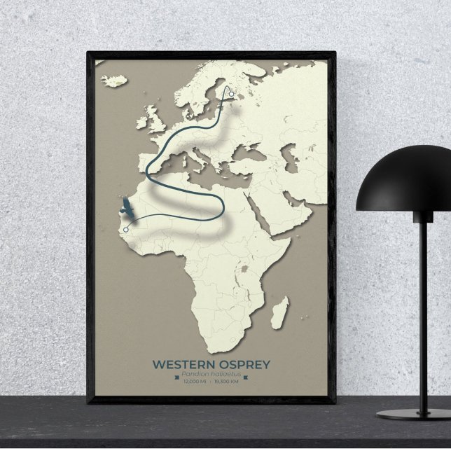 Affiche Carte de migration du balbuzard occidental - Vinta (Western Osprey 24X36 in Mockup)