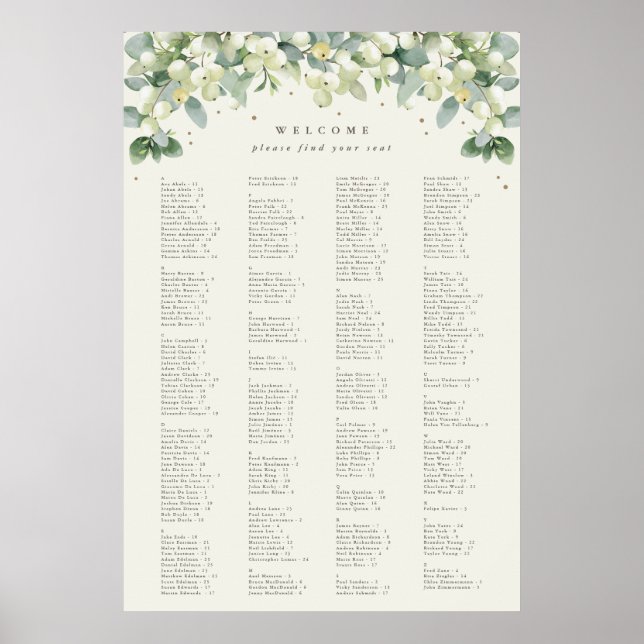 Affiche Carte de siège alphabétique de 26 x 38 pouces pour (Devant)