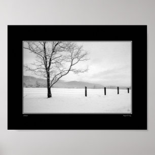 Affiche Carte de solitude