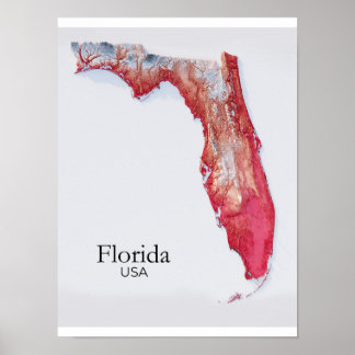 Affiche Carte de soulagement de Floride Texture Rouge