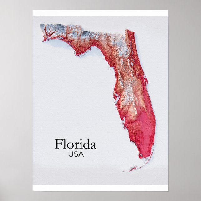 Affiche Carte de soulagement de Floride Texture Rouge (Devant)