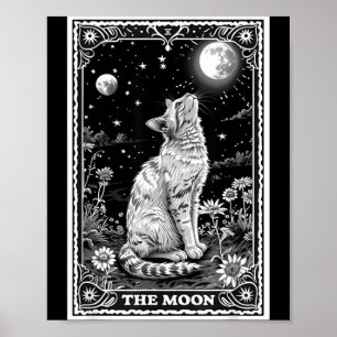 Affiche Carte de Tarot de Chat Chapeau de Lune Sorcière Ha