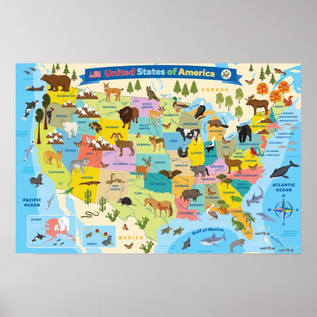 Affiche Carte des animaux américains pour les enfants (Devant)