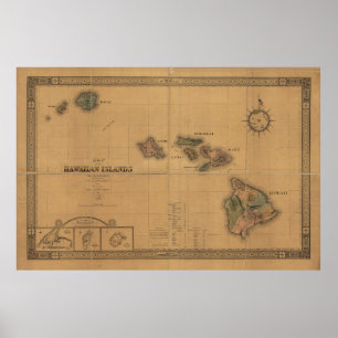 Affiche Carte des îles Hawaiiennes (1876)