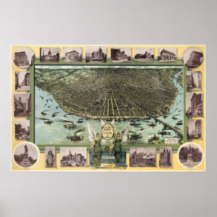 Affiche Carte des oiseaux de Saint-Louis - 1896 (Graf) Big