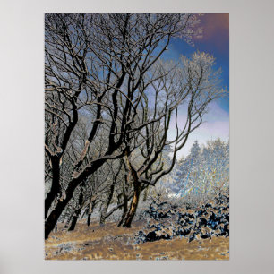 Affiche Carte d'hiver de la forêt de Macclesfield Impressi