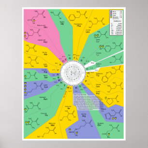Affiche Carte d'identification de la molécule chimique aci