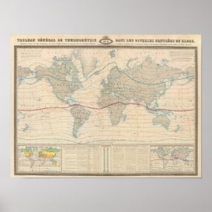 Affiche Carte du monde de la végétation