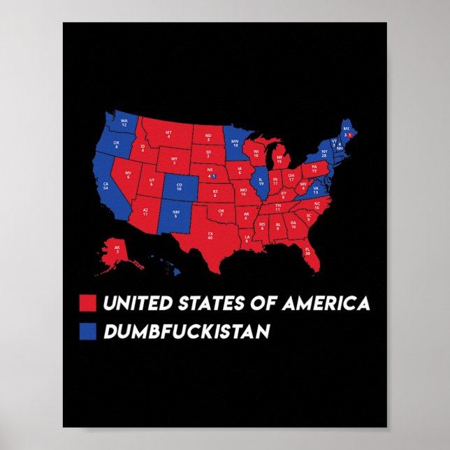 Affiche Carte Électorale 2024 Etats-Unis D'Amérique Dumbfo (Devant)
