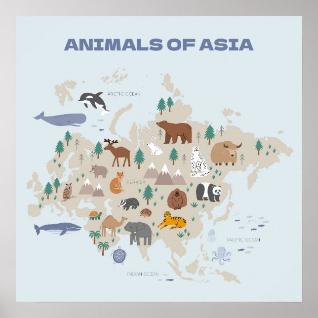 Affiche Carte illustrée des animaux d'Asie (Devant)