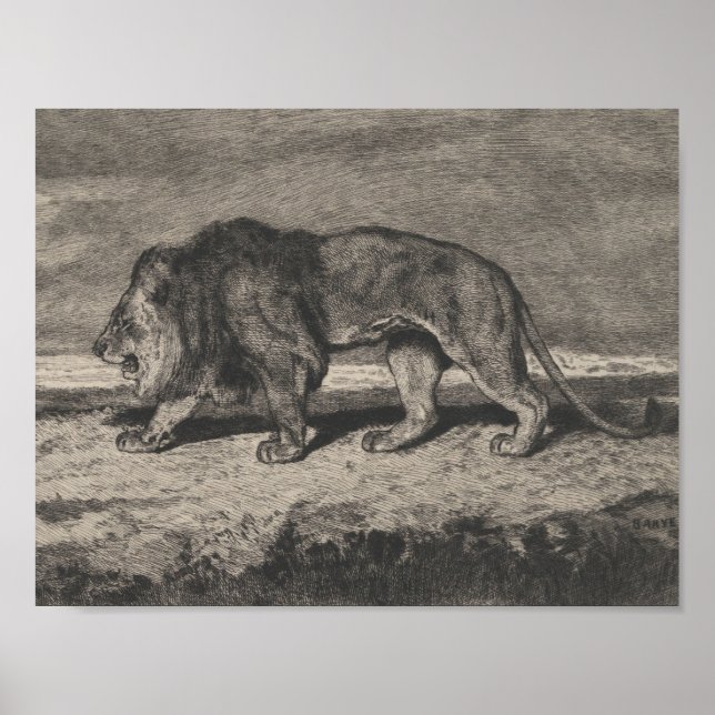 Affiche carte lion vintage (Devant)