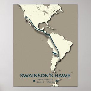 Affiche Carte migratoire de Swainson sur la faucille - Vin