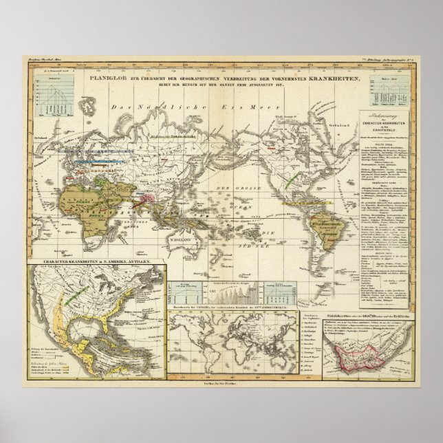 Affiche Carte mondiale des maladies (Devant)