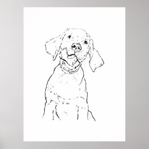 Affiche Carte postale du chien Retriever du Labrador