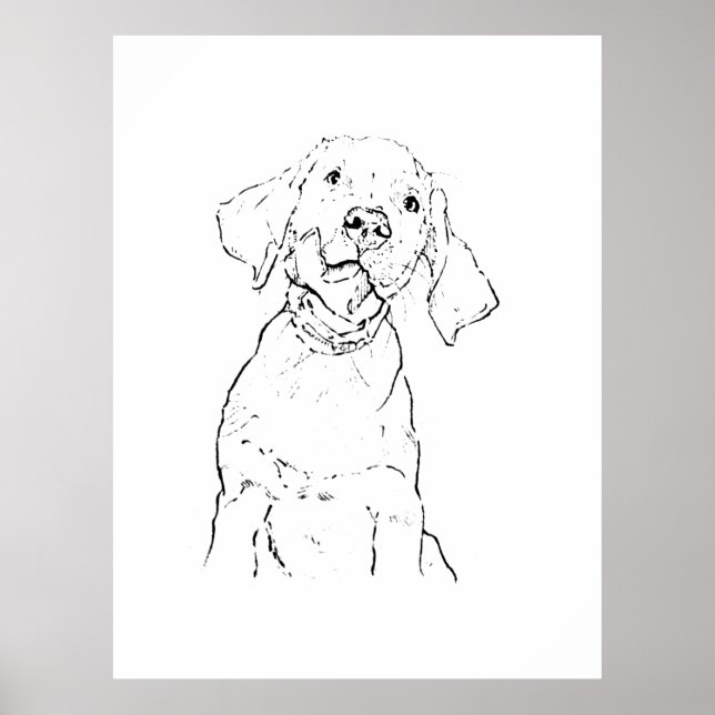 Affiche Carte postale du chien Retriever du Labrador (Devant)