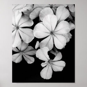 Affiche carte postale en noir et blanc