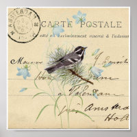Carte postale vintage Bleu Oiseau