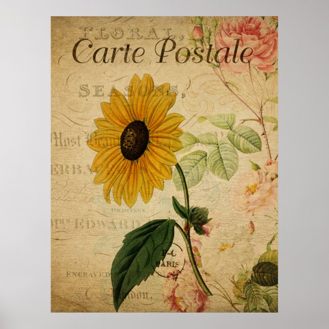 Affiche Carte postale vintage de tournesol (Devant)