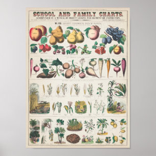 Affiche Carte scolaire vintage pour l'enseignement à domic