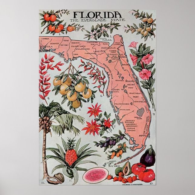 Affiche Carte vintage de Floride (Devant)
