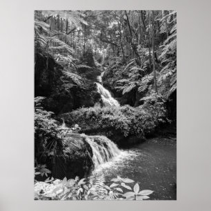 Affiche Cascade