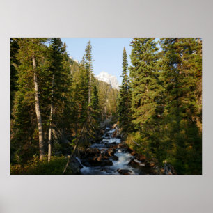 Affiche Cascade Creek à Grand Teton