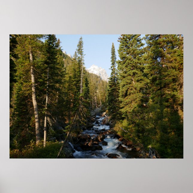 Affiche Cascade Creek à Grand Teton (Devant)