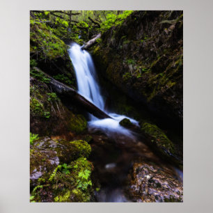 Affiche Cascade dans la forêt enchantée