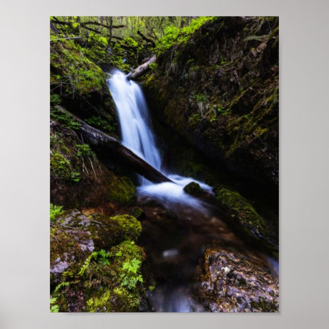Affiche Cascade dans une forêt enchantée (Devant)
