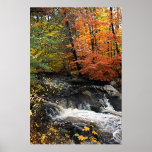 Affiche Cascade d'automne