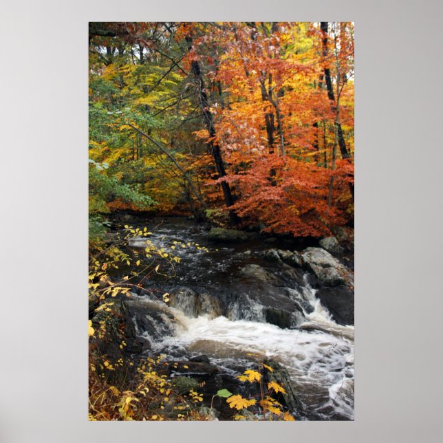 Affiche Cascade d'automne (Devant)