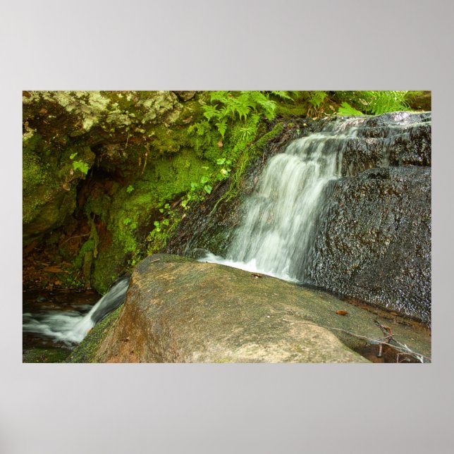 Affiche Cascade de Hungarian Falls dans une forêt moussue (Devant)