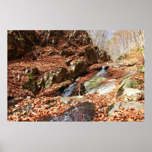 Affiche Cascade de Montagne - Nature Sauvage Roumanie