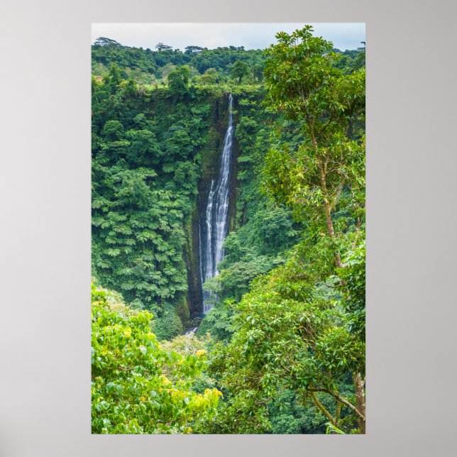 Affiche Cascade De Papapapaitai Dans La Jungle (Devant)