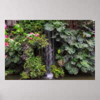 Cascade du jardin luxuriant, Chine