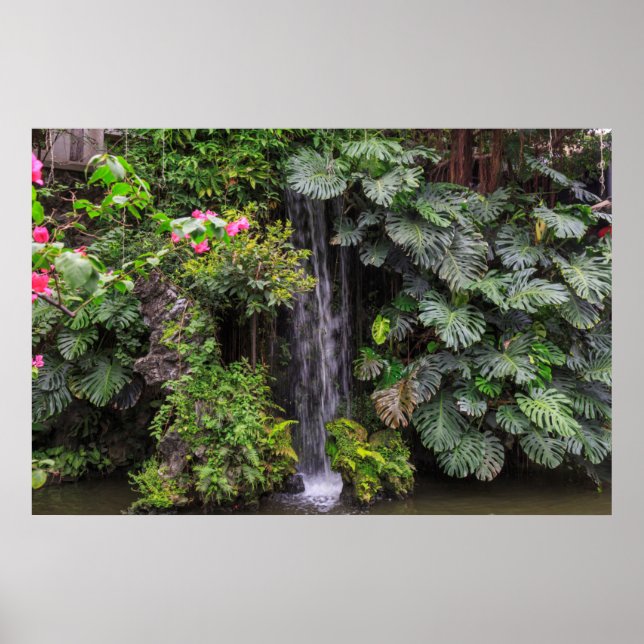 Affiche Cascade du jardin luxuriant, Chine (Devant)