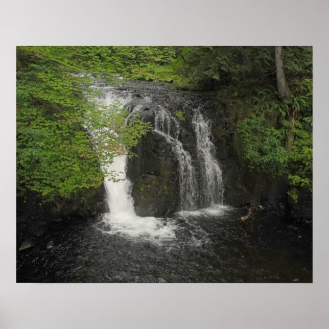 Affiche Cascade et Green Feuilles Nature Photo (Devant)