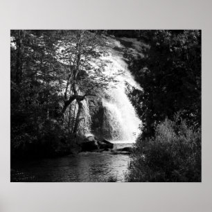 Affiche Cascade noire et blanche à travers les arbres 16x2