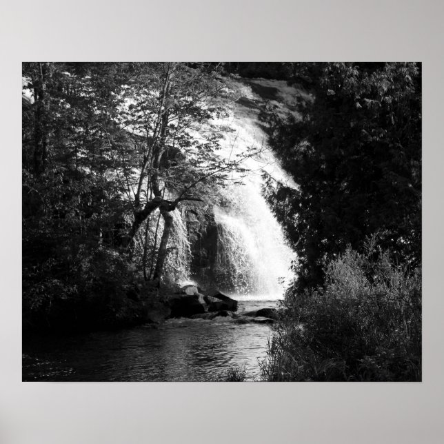 Affiche Cascade noire et blanche à travers les arbres 16x2 (Devant)
