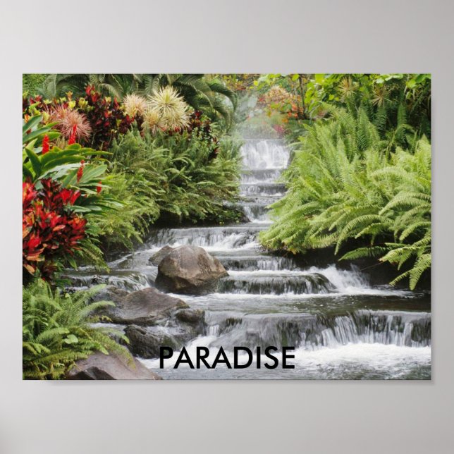 Affiche Cascade, PARADISE (Devant)